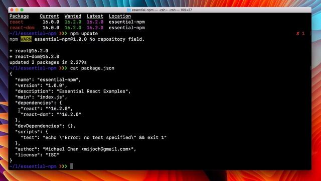 essential npm 11 смотреть онлайн