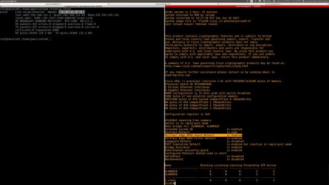 Graylog GNS3 VMWare Cisco Systems Ubuntu Linux смотреть онлайн