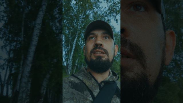 дождь пытается выгнать меня с озера #рыбалка #спиннинг #окунь #fishing смотреть онлайн