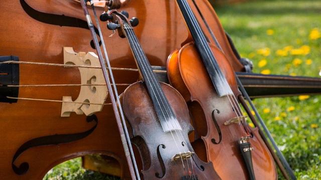 New violin 🎻 ringtone смотреть онлайн