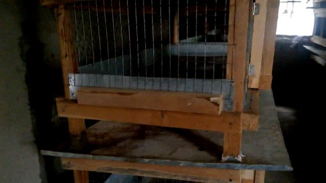 Заброшенная ферма ( № 1) разведение кроликов смотреть онлайн