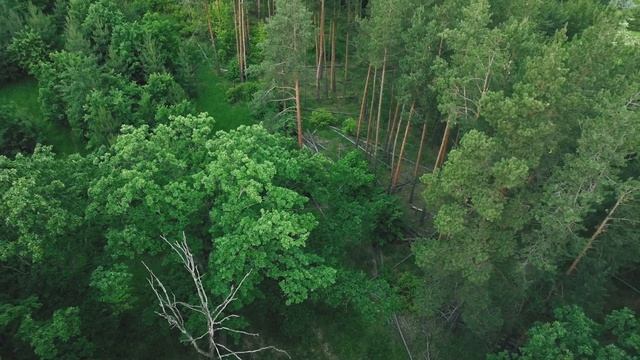 Тушнинские холмы / Сенгилеевские горы / Красивые места Ульяновской области смотреть онлайн