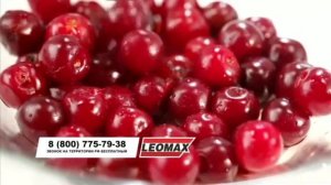 Фрагмент эфира (LEOMAX, 21.10.2017)