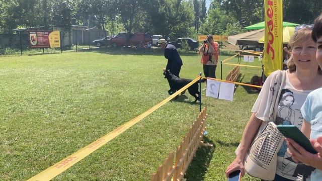 Выставка в Павлограде))) Николас и Настя взяли J.CAC,BOB,Best-3