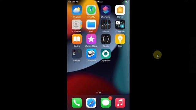 How to Update Dopamine Jailbreak Automatically Without Manually Installing | Detailed Guide | 2023 смотреть онлайн