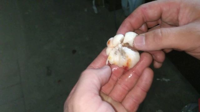 Мангостин какой он на вкус смотреть онлайн