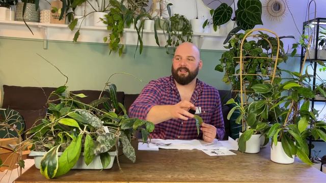 Paczka z prezentem od HOYAPASSION💚😻 смотреть онлайн