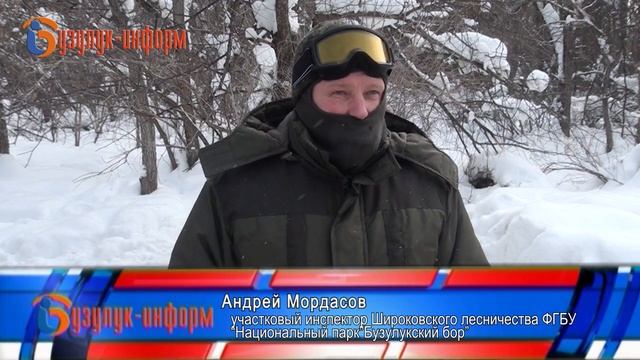 "Узнать кабанчиков в лицо...." смотреть онлайн