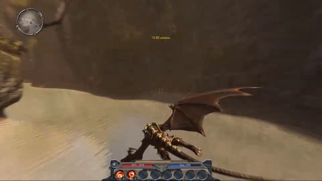 Divinity II: The Dragon Knight Saga Review смотреть онлайн