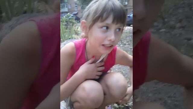 Помощь животным! смотреть онлайн