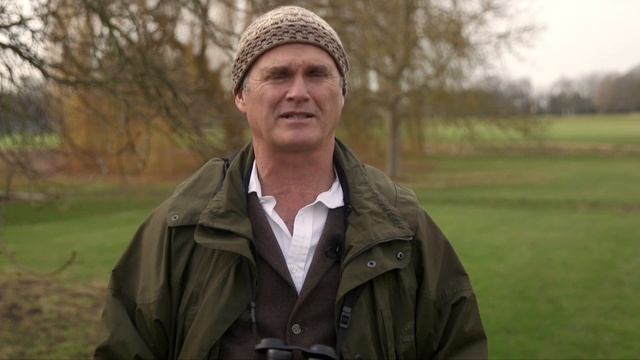 Simon King’s top birdwatching tips for the #My200BirdYear challenge смотреть онлайн