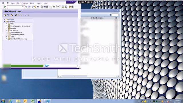 Ví dụ ứng dụng VBA để tự động hoá SAP (SAP GUI Scripting) смотреть онлайн