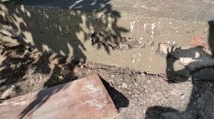 укладка тротуарной плитки на бетонное основание