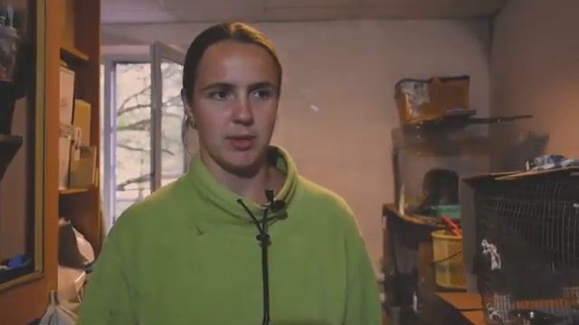 Приют для животных «Лучший друг» смотреть онлайн