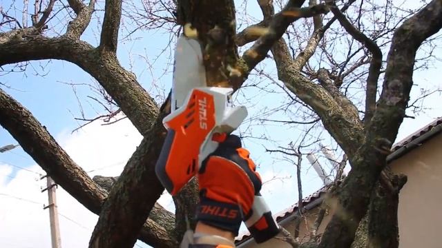 Обзор инструментов STIHL для садовой обрезки деревьев и кустов смотреть онлайн