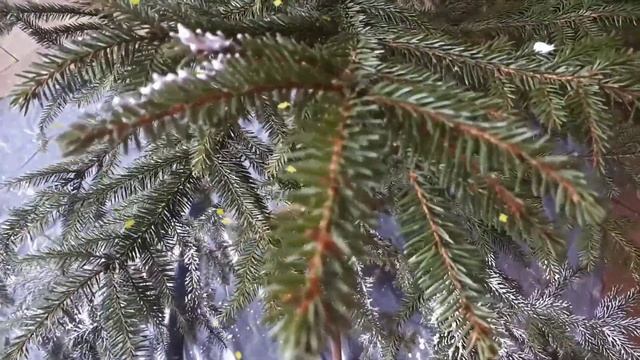 КАК СДЕЛАТЬ СНЕЖНУЮ ЁЛКУ СВОИМИ РУКАМИ. ☃️? смотреть онлайн