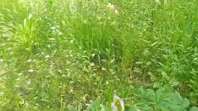 Я понимала что это неправильно. смотреть онлайн