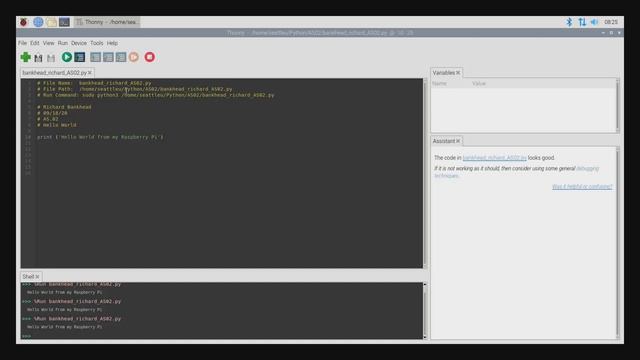 RPi: Running Python Code in the Terminal смотреть онлайн