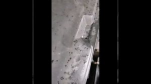 Отзывы . Издох аккумулятор zubr.