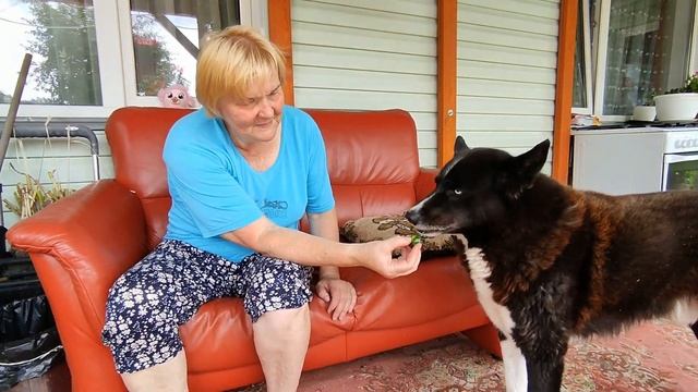 Маме скоро 90 лет Любит сидеть на террасе и отдыхать Привезли ей свежих лесных ягод 19 июля 2022 смотреть онлайн