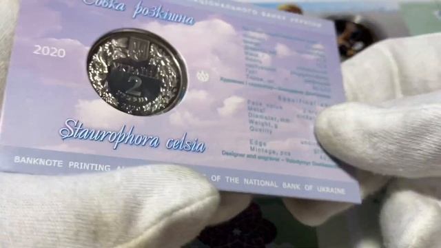 2 гривны 2020 года «Совка роскошная» / Будет ли дефицит монет??? смотреть онлайн