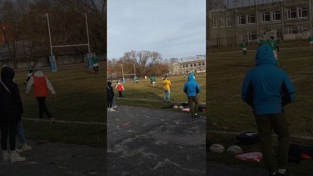 РК "Владимирские львы" - РК МГУ Москва. Собака тоже наблюдает за игрой. смотреть онлайн