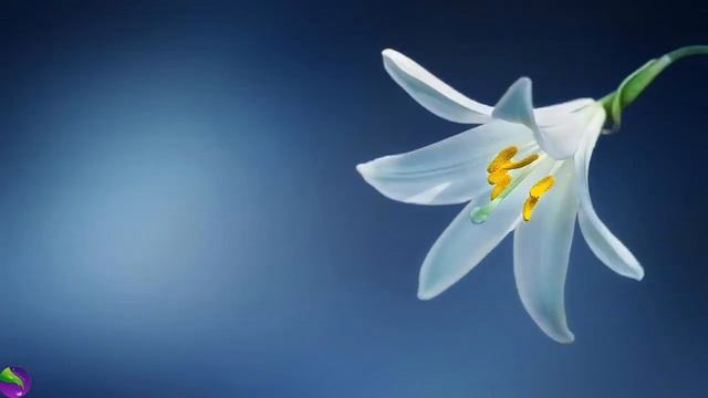 Расслабляющая музыка - Музыка для медитации - Тренировки, Йога, Спа, Учеба смотреть онлайн