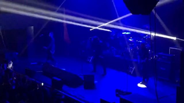 Горшенев - Царь зверей (Вологда - 4.10.19) смотреть онлайн