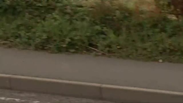 Morgan 3 Wheeler - Fifth Gear Web TV смотреть онлайн