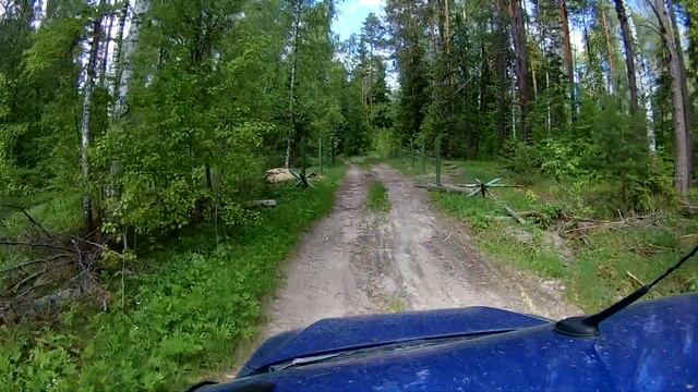 Экшн камера Eken H9. Видео для оценки качества. Лес. 1080/60, аквабокс, камера на авто. смотреть онлайн