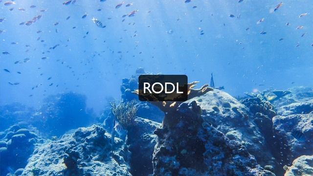 Introduction to Remoting SDK for Delphi смотреть онлайн