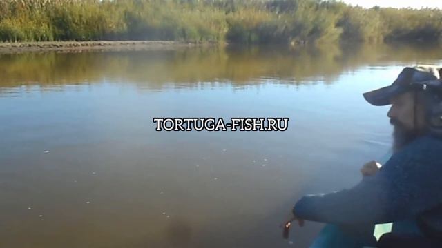 Жерех в Дельте Волги🎣Главный Банк смотреть онлайн