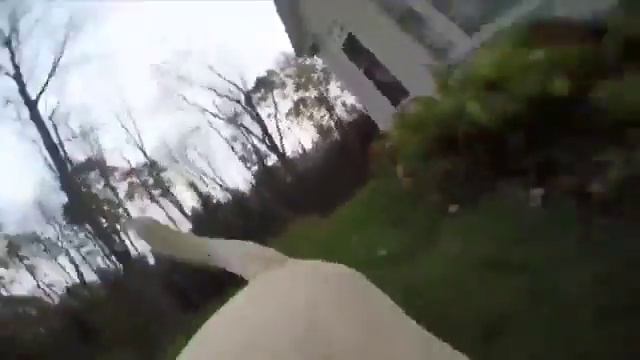 Очень классная собака!!!!