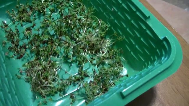 Строительные Инсайты