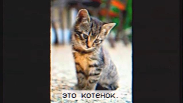 ВЗЛОМ КАРУСЕЛЬ 999998+++++++++ ДЕТям НЕ СМОТРЕТЬ ОЧЕНЬ СТРАШНOOOO ООООЧЕНЬ ПИПКЦ КАК СТРАШНО А.avi смотреть онлайн