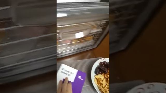 Высушила вкусную пастилу и не только! Обзор сушилки для овощей и фруктов КТ-1906. #Kitfort смотреть онлайн