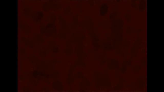 Five Nights at Freddy's 4: Я больше не буду в это играть. смотреть онлайн