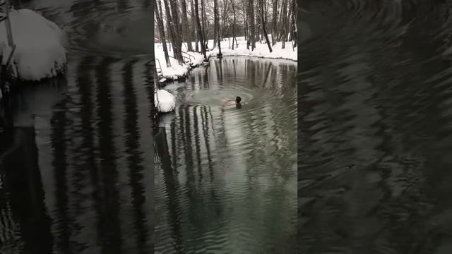 Морж Денис . Голубая Криница , Славгород смотреть онлайн