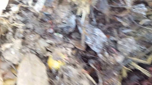 Kompostovacie dazdovky v mrazoch pod -10C смотреть онлайн