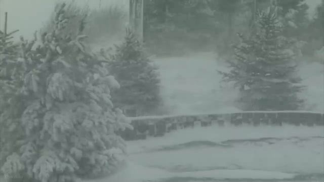 звук снежного ветра в лесу. буран включить слушать онлайн бесплатно для сна в хорошем качестве смотреть онлайн
