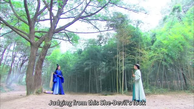 【功夫電影】女人單挑金輪法王，竟控制馬蜂打敗敵人了！| #kungfu ⚔️#功夫 #武侠 смотреть онлайн