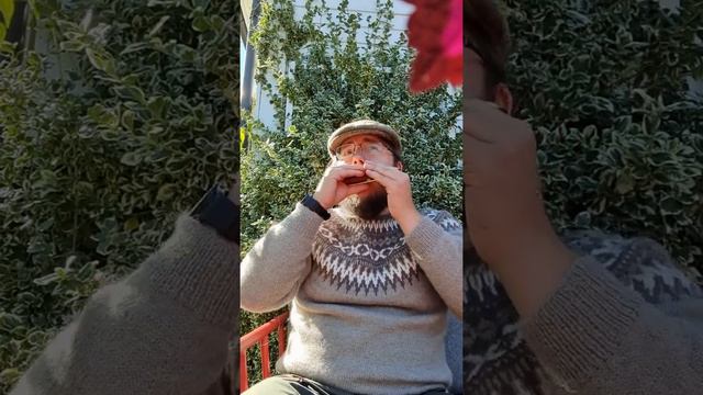 Blåmann - Old Norwegian Nursery song. Played on a Golden Melody Tremolo harmonica from Hohner смотреть онлайн