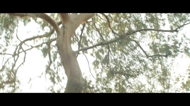 Starlet - Official Trailer смотреть онлайн