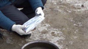 Содержание И Кормление Подсадных Уток