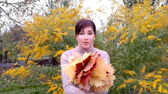 Ветер осенний... смотреть онлайн