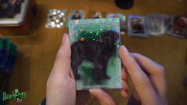 Panini Harry Potter Evolution Trading Cards - Unboxing Booster Packs - Folge 2 |Sammelkarten|Deutsc