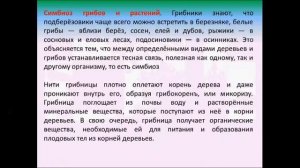 Шляпочные грибы. Биология 5 класс