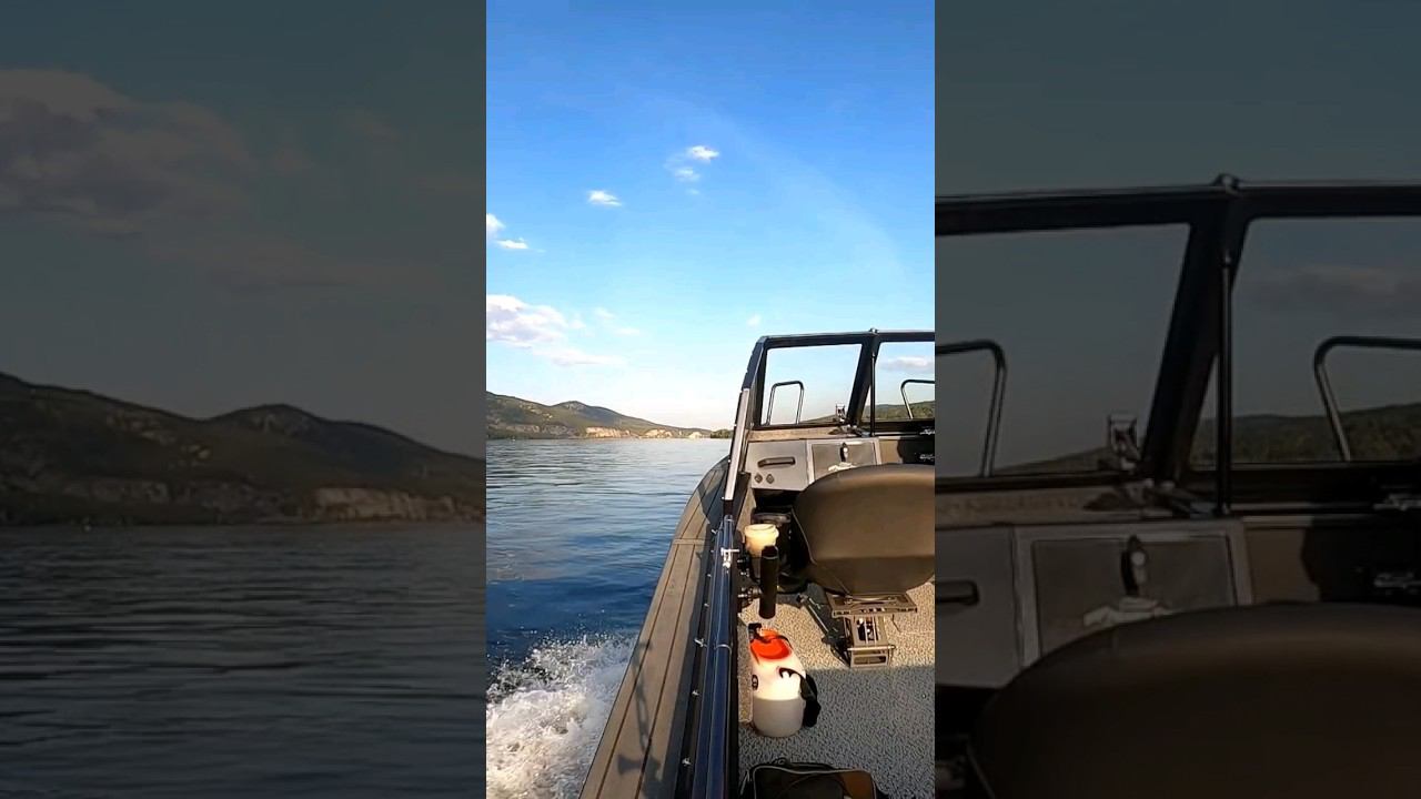 ❗️Выставка во Флагмане❗️Адрес ул. Пограничников 53.1 г. Красноярск. смотреть онлайн