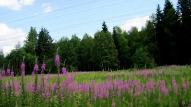 Дорога Петрозаводск - Сямозеро -Суоярви - Сортавала смотреть онлайн