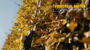 DEWALT 18V XR DCMPH566 HÄCKSAX,  TELESKOP 3,35M